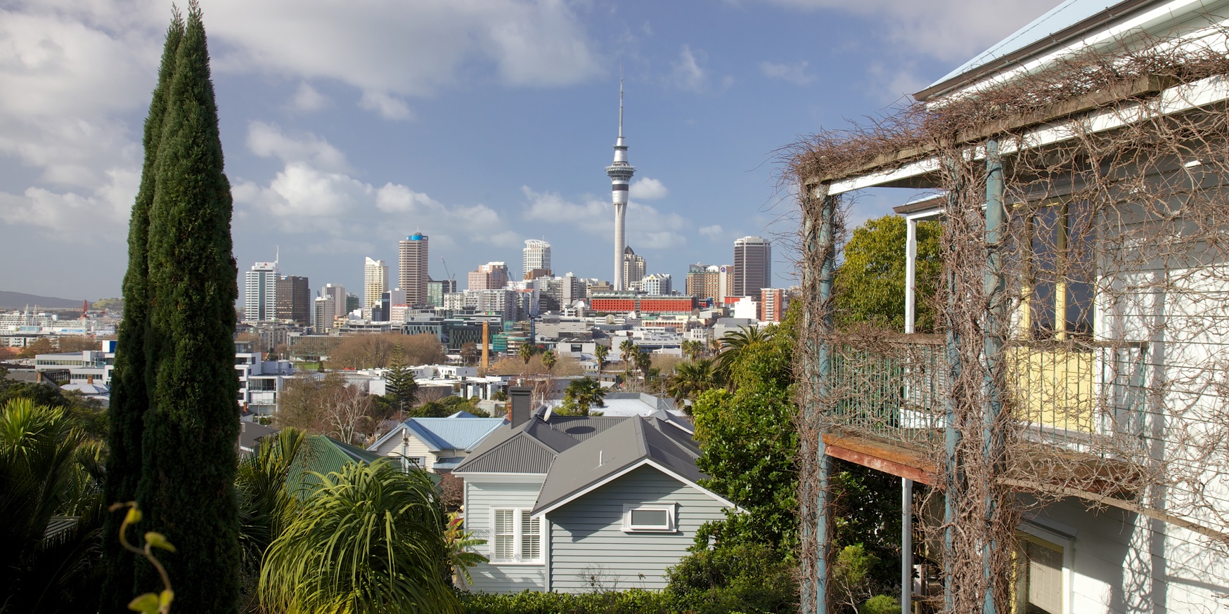 Professional Building Inspector in NZ